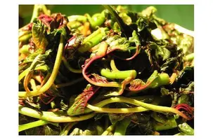 vegano