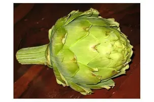 vegetal