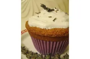 bolo