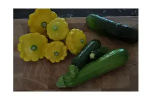 vegetariano