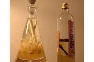 bebida