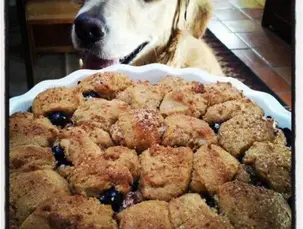 morangos