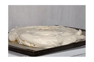 bolo