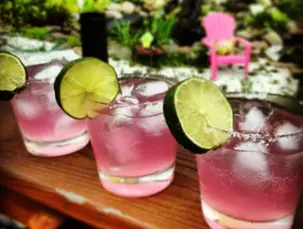 margarita