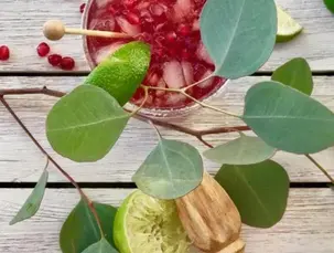 margarita