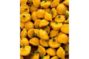 queijo