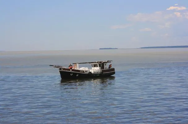 Camarão com Polenta da Maria