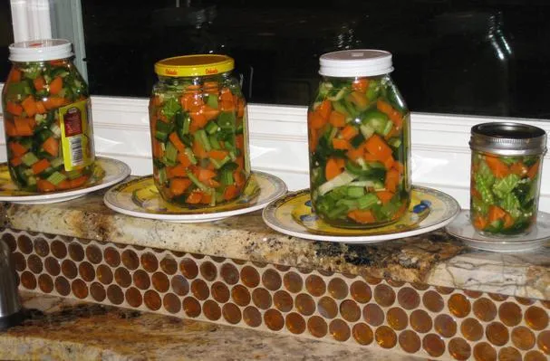 Pickles mistos - مخلل، كبيس