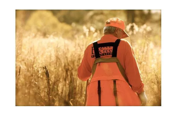 Codorna de Plantação